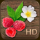Baies et Herbes Sauvages HD - NATURE MOBILE (Lien AppStore) 